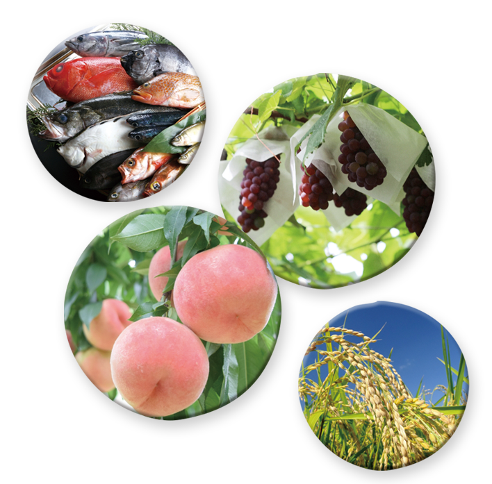 〔食〕アグリ事業